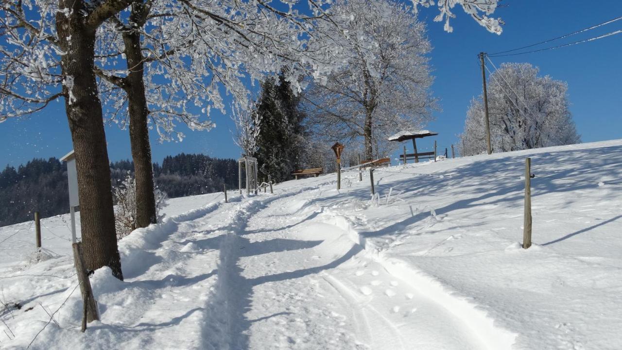 Ferienwohnung Alpenstern Rieden Dış mekan fotoğraf