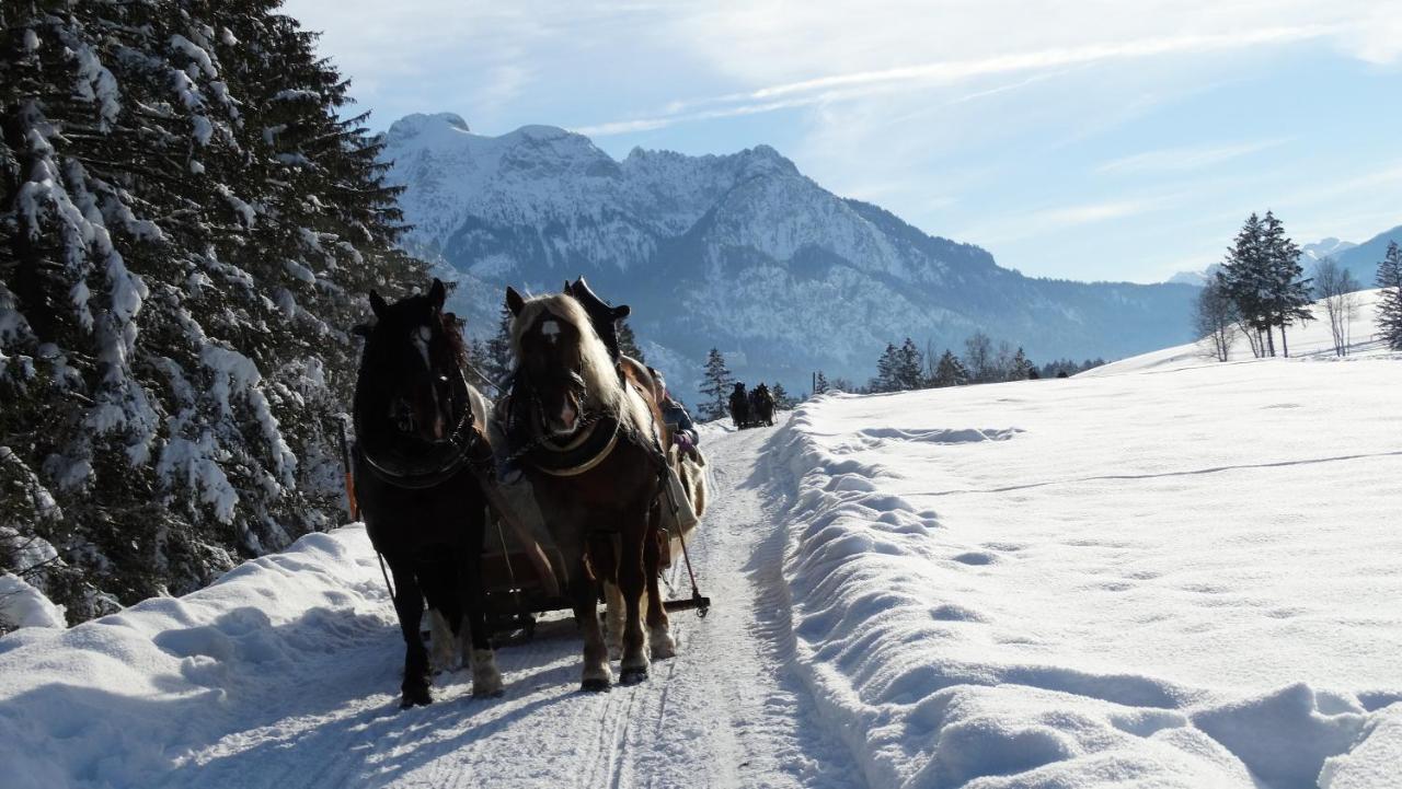Ferienwohnung Alpenstern Rieden Dış mekan fotoğraf